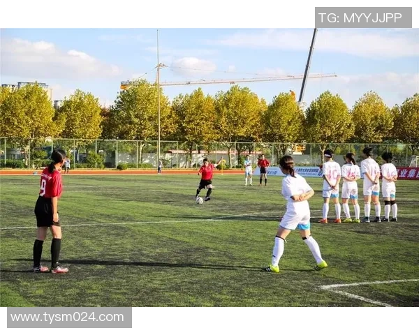 瓦雷赫姆与安德莱赫特比赛前瞻分析及双方战术对比探讨 瓦雷赫姆与安德莱赫特比赛前瞻分析及双方战术对比探讨