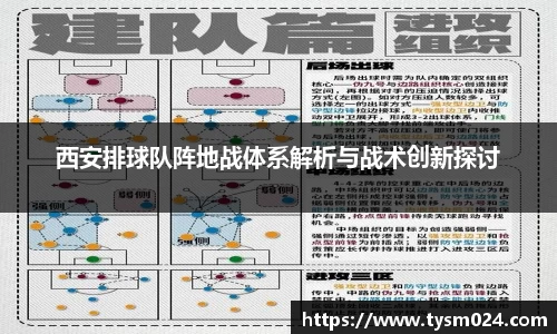 西安排球队阵地战体系解析与战术创新探讨
