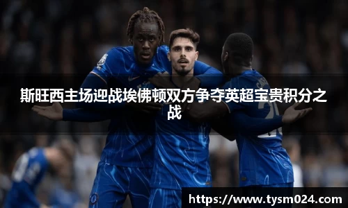 斯旺西主场迎战埃佛顿双方争夺英超宝贵积分之战